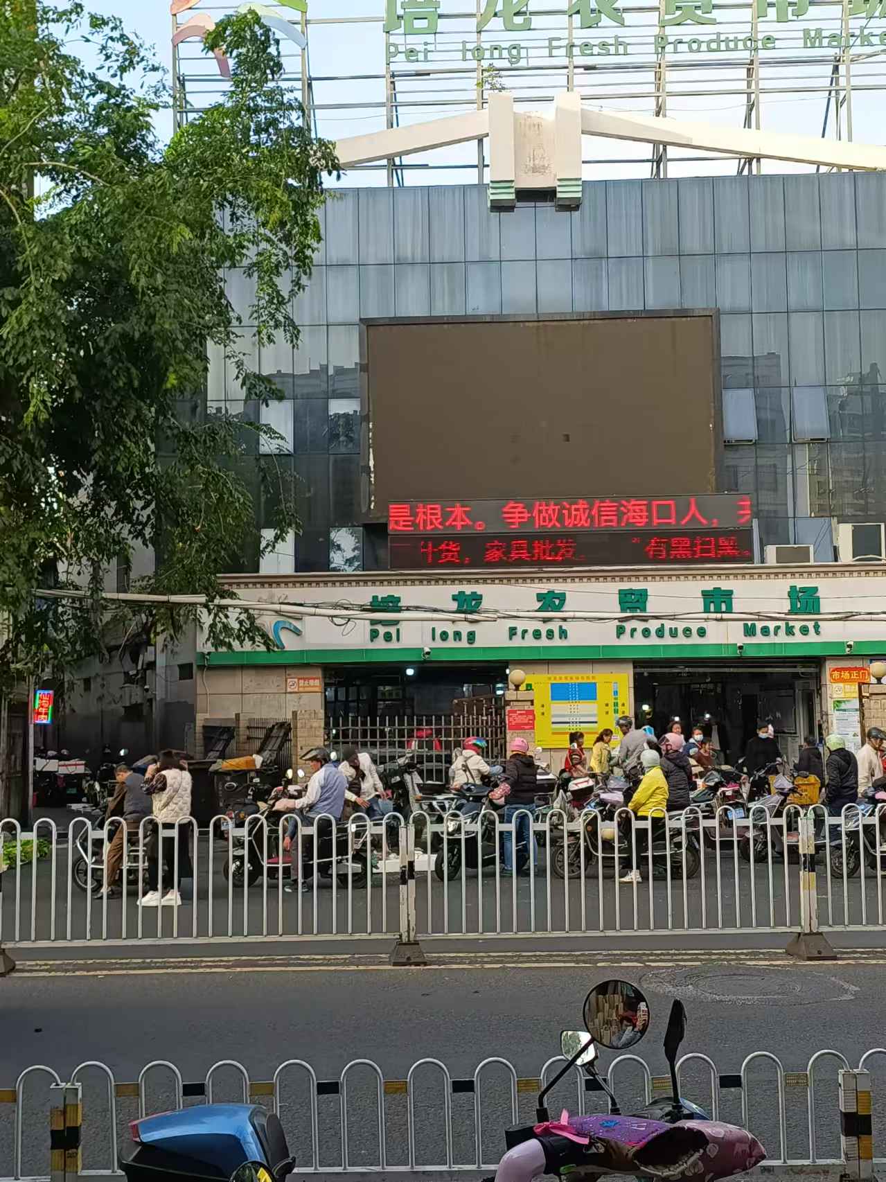 推荐拍品